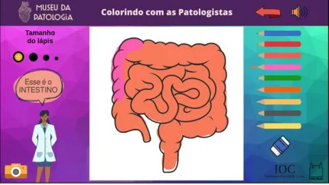 Pintando com as Patologistas